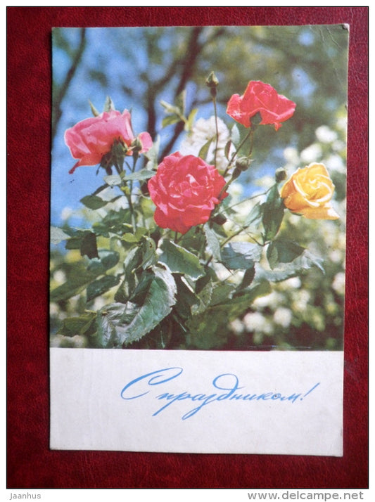 Birthday Greeting card - roses - 1967 - Russia USSR - used - JH Postcards