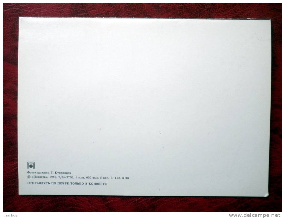 Wedding card - kiss - bride and groom - 1986 - Russia - USSR - unused - JH Postcards