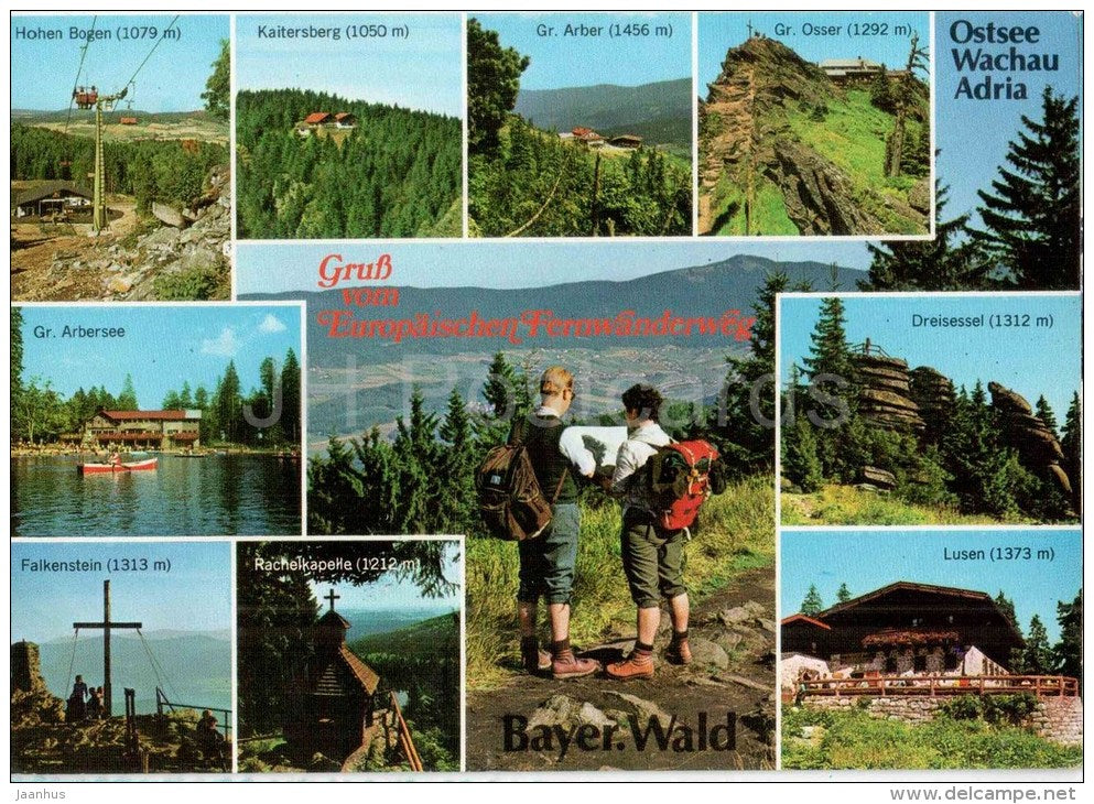 Grüsse vom Europäischen Fernwanderweg - Bayer. Wald - EUROPA CEPT - 8356/117 - Germany - 1985 gelaufen - JH Postcards