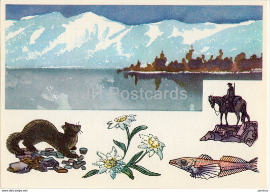 sable - edelweiss - Baikal oilfish - Barguzin Nature Reserve - 1975 - Russia USSR - unused - JH Postcards