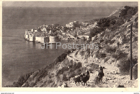 Dubrovnik - donkey - 1953 - Yugoslavia - Croatia - used - JH Postcards