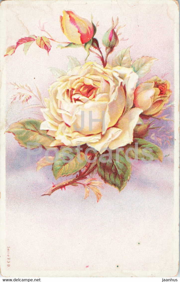 rose - flowers - illustration - Serie 239 - old postcard - Germany - unused - JH Postcards