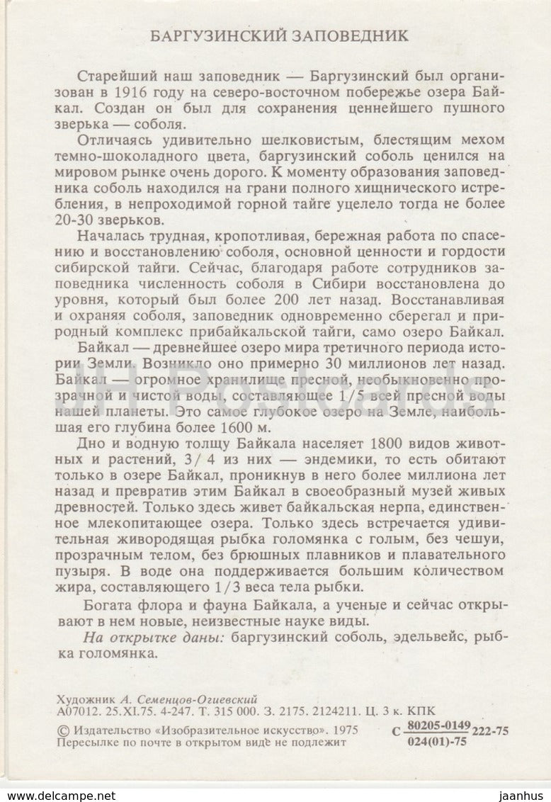 Zobel - Edelweiß - Baikal-Ölfisch - Naturschutzgebiet Barguzin - 1975 - Russland UdSSR - unbenutzt
