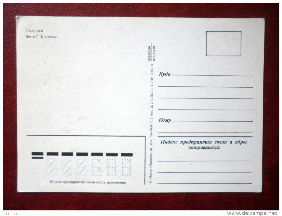 Greeting Card - red carnation - flowers - 1981 - Russia USSR - unused - JH Postcards