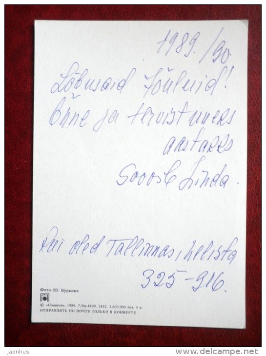 New Year greeting card - winter - trees - 1989 - Russia USSR - used - JH Postcards