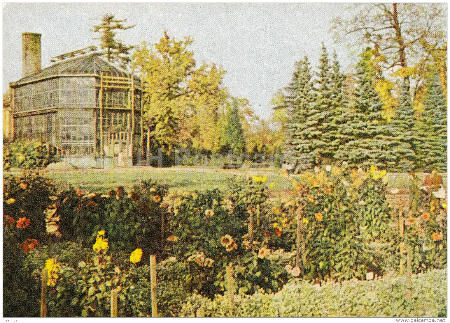 Botanical Gardens - Riga - Latvia USSR - unused - JH Postcards