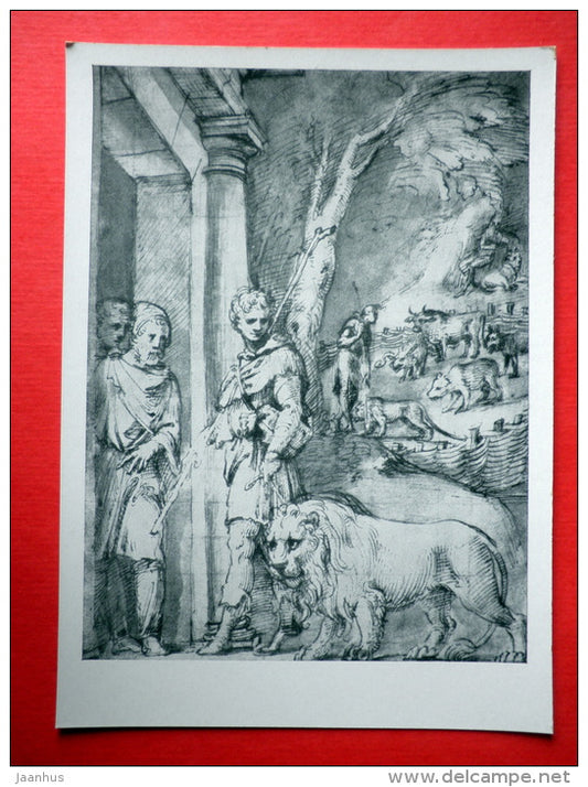 drawing by Baldassare Peruzzi - Androcles and the Lion - italian art - unused - JH Postcards