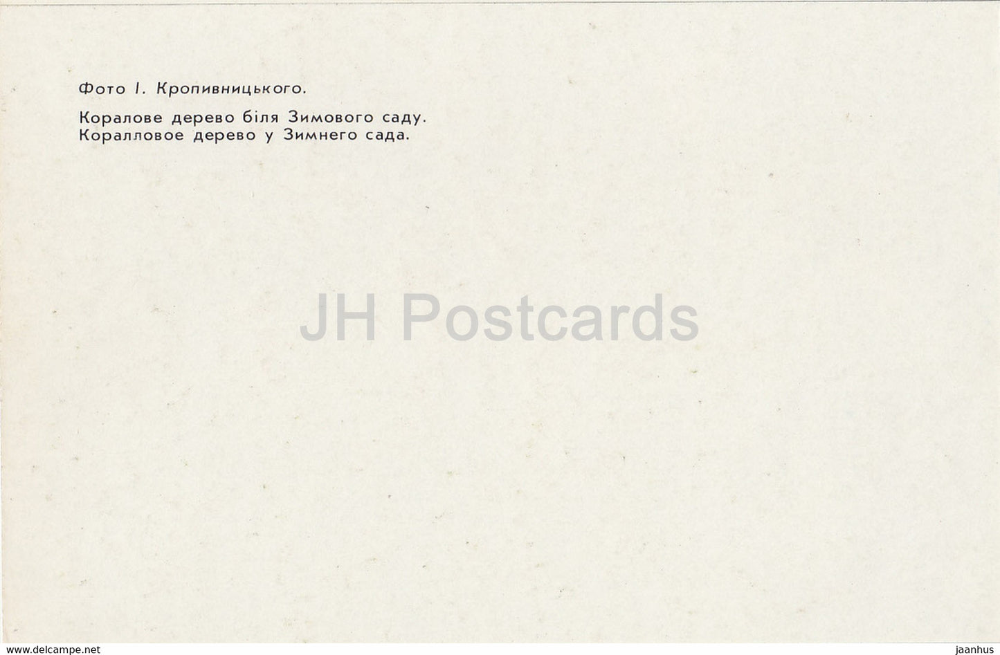 Coral tree in Winter Garden - Alupka Palace Museum - Crimea - 1990 - Ukraine USSR - unused