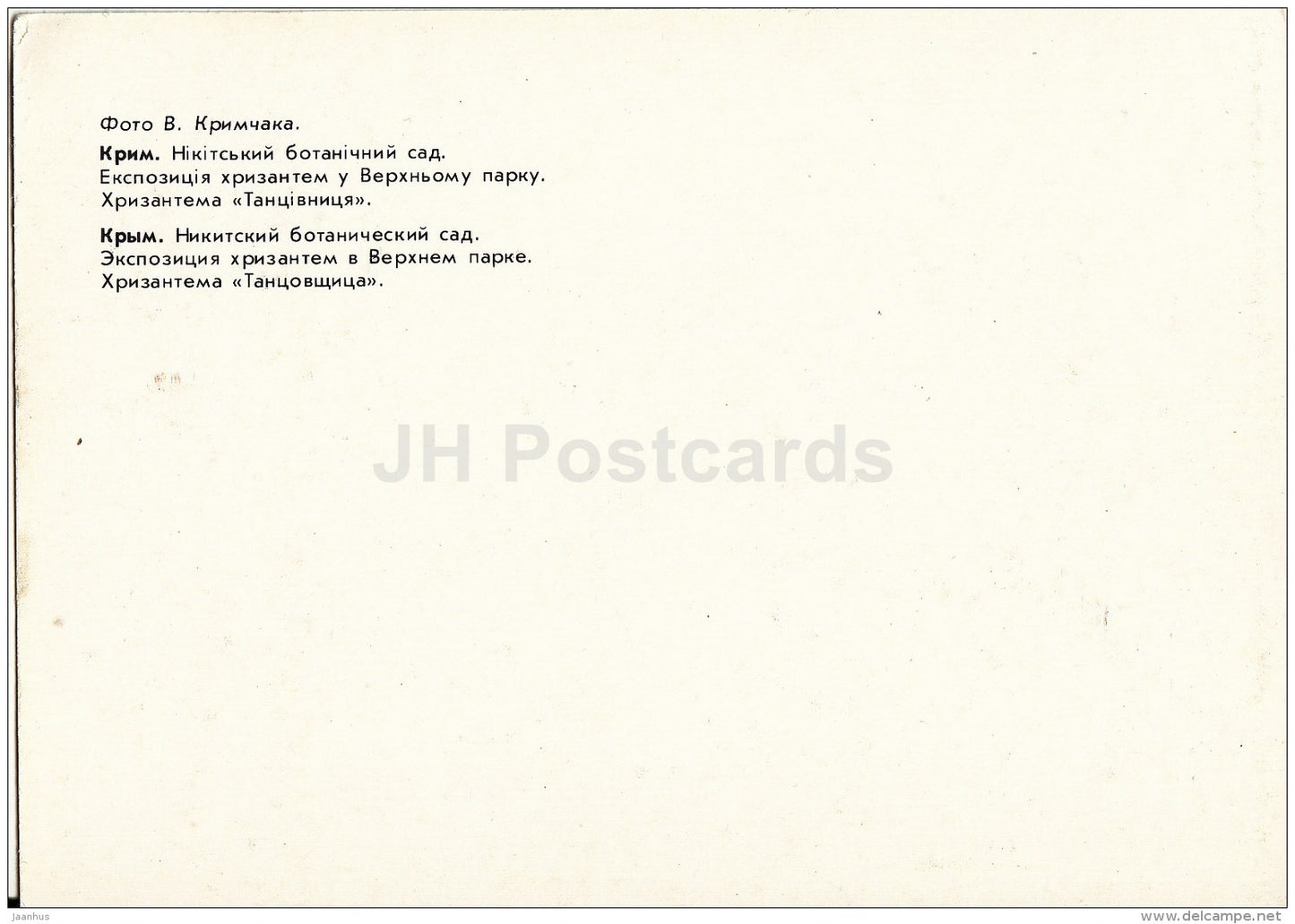 Exhibition of Chrysantemums - Chrysantemum Dancer - Nikitsky Botanical Garden - 1991 - Ukraine USSR - unused - JH Postcards