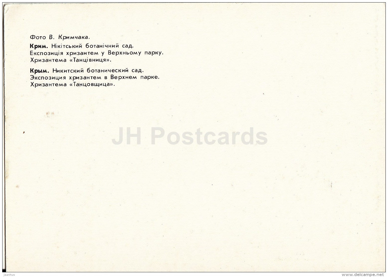 Exhibition of Chrysantemums - Chrysantemum Dancer - Nikitsky Botanical Garden - 1991 - Ukraine USSR - unused - JH Postcards