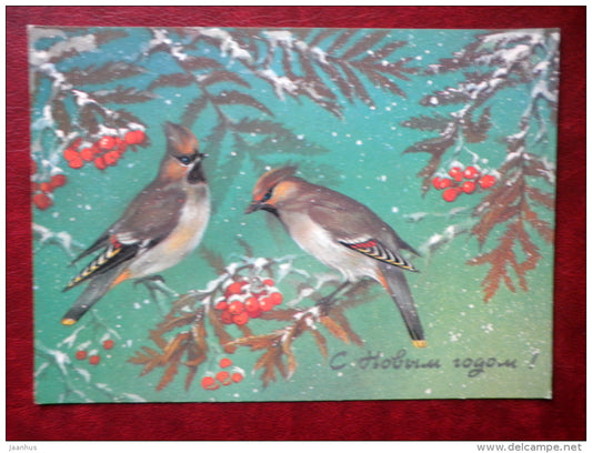 New Year greeting card - by A. Isakov - birds - rowan berries - 1986 - Russia USSR - used - JH Postcards