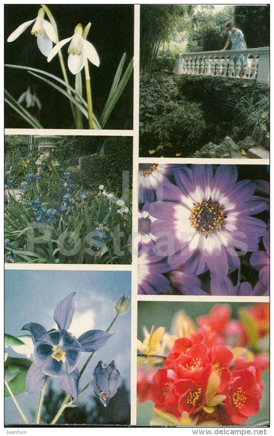 snowdrop - iris - cineraria - Aquilegia - Nikitsky Botanical Garden - Crimea - 1989 - Ukraine USSR - unused - JH Postcards