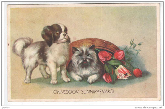 birthday greeting card - dogs - flowers - tulips - IL - old postcard - circulated in Estonia 1940 , Tallinn - used - JH Postcards