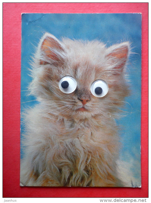 cat - kitten with moving eyes - Italy - circulated in Finland - JH Postcards