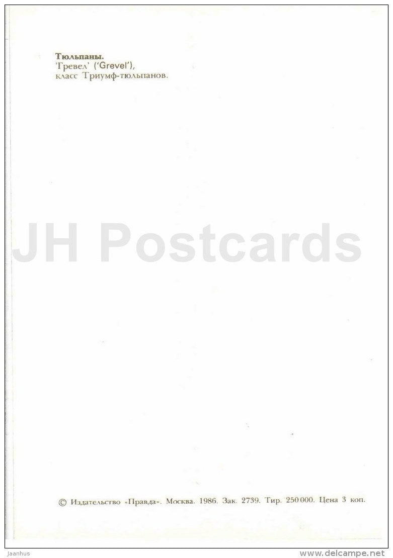 Grevel - Tulip - 1986 - Russia USSR - unused - JH Postcards