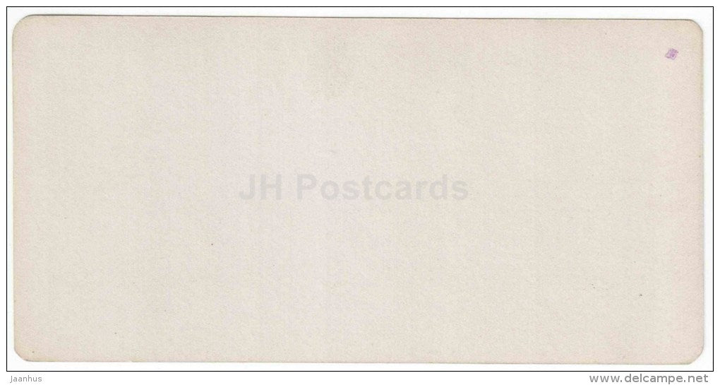 railway station - hotel Beshtau - Zheleznovodsk - Caucasus - Russia - Russie - stereo photo - stereoscopique - old photo - JH Postcards