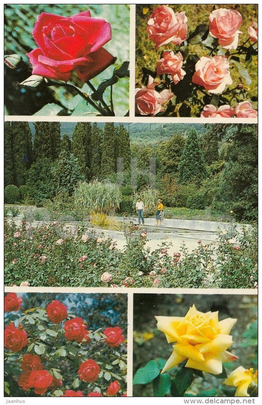 Rosarium in the Upper Park - Roses - Nikitsky Botanical Garden - Crimea - 1989 - Ukraine USSR - unused - JH Postcards