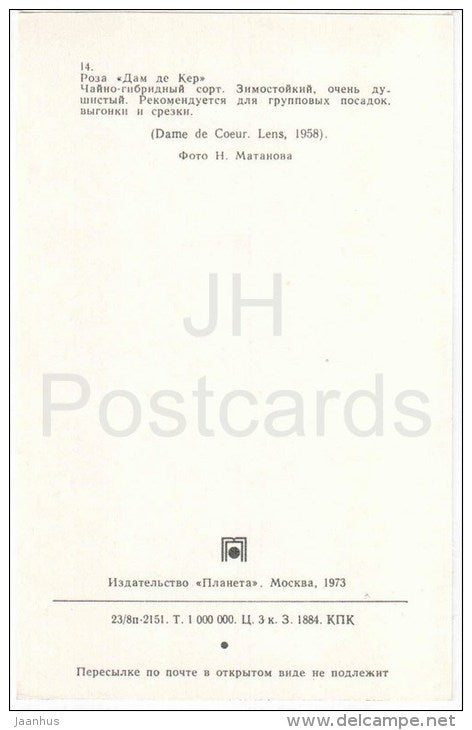 Dame de Coeur - flowers - Roses - Russia USSR - 1973 - unused - JH Postcards