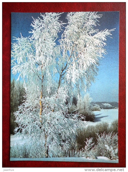 New Year Greeting card - winter - birch-tree - 1989 - Estonia USSR - used - JH Postcards