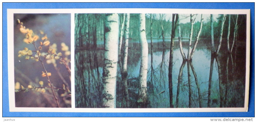 spring - Moscow Oblast - Podmoskovye - 1977 - Russia USSR - unused - JH Postcards