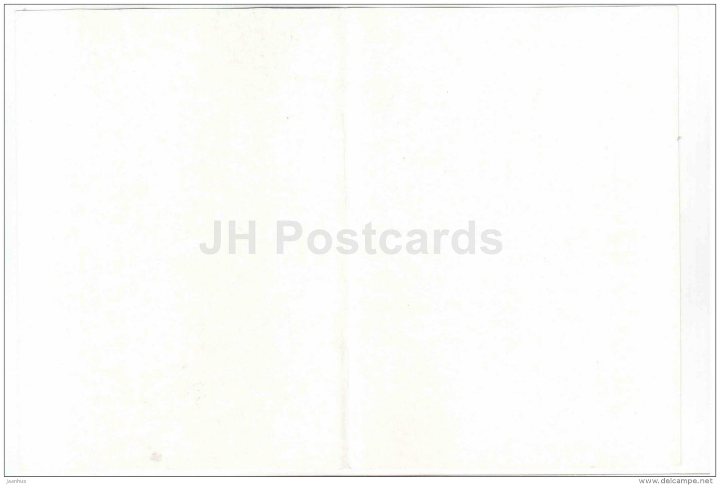 greeting card - flowers - peony - 1971 - Estonia USSR - unused - JH Postcards