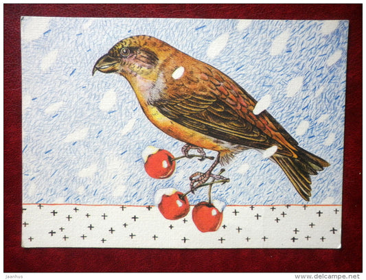 illustration by R. Miitel - Bird - berries - 1993 - Estonia - used - JH Postcards