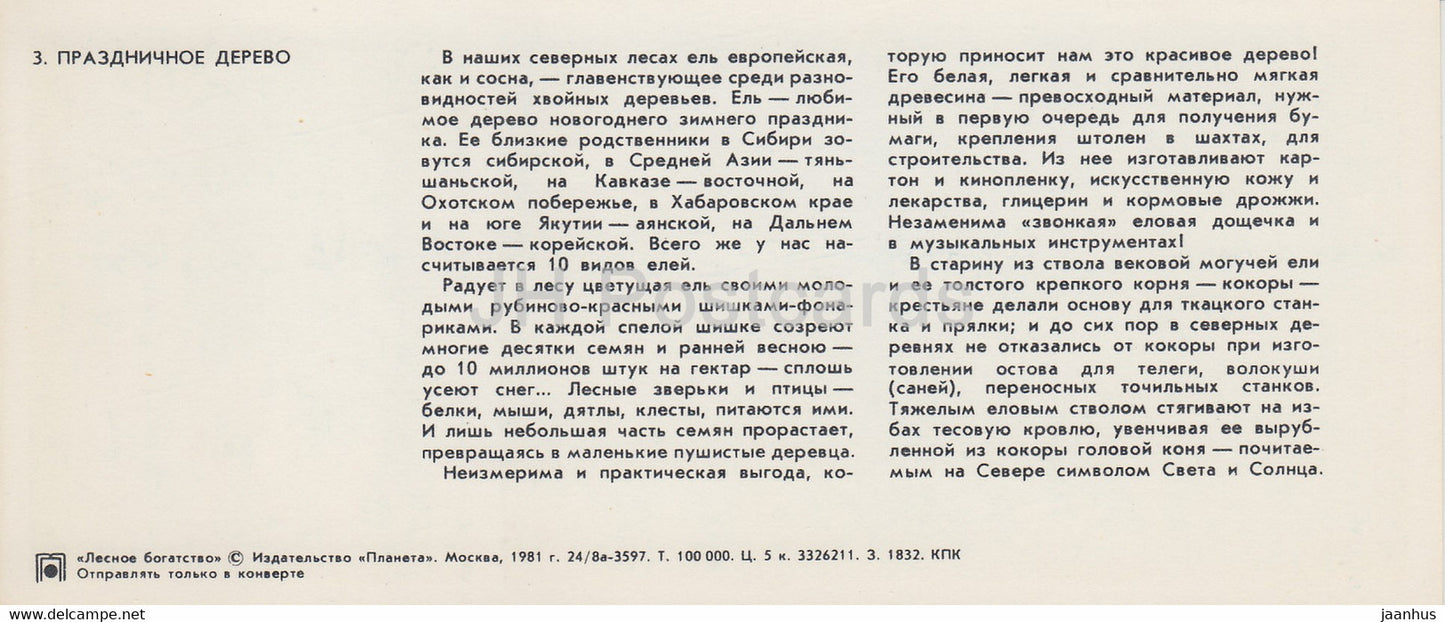 spruce tree - Forest Wealth - 1981 - Russia USSR - unused