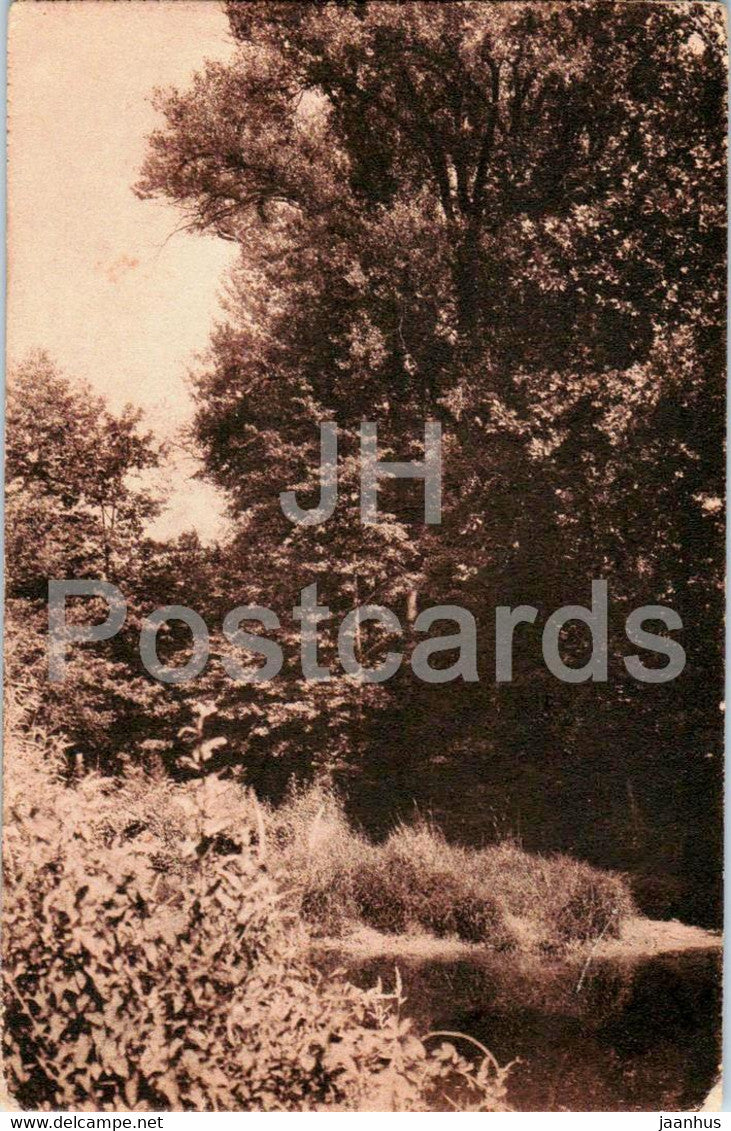 nature - F. Ghio - old postcard - France - unused - JH Postcards