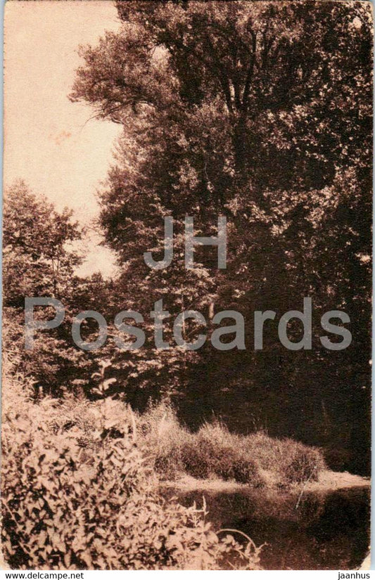 nature - F. Ghio - old postcard - France - unused - JH Postcards