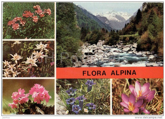 Flora Alpina - alpine flowers - Italia - Italy - 201 - used - JH Postcards