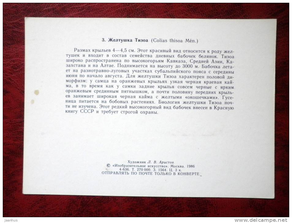 Colias thisoa - butterflies - 1986 - Russia - USSR - unused - JH Postcards