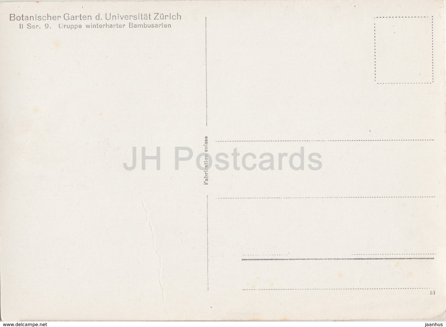 Botanischer Garten d Universitat Zurich - Gruppe winterharter Bambusarten - Switzerland - unused