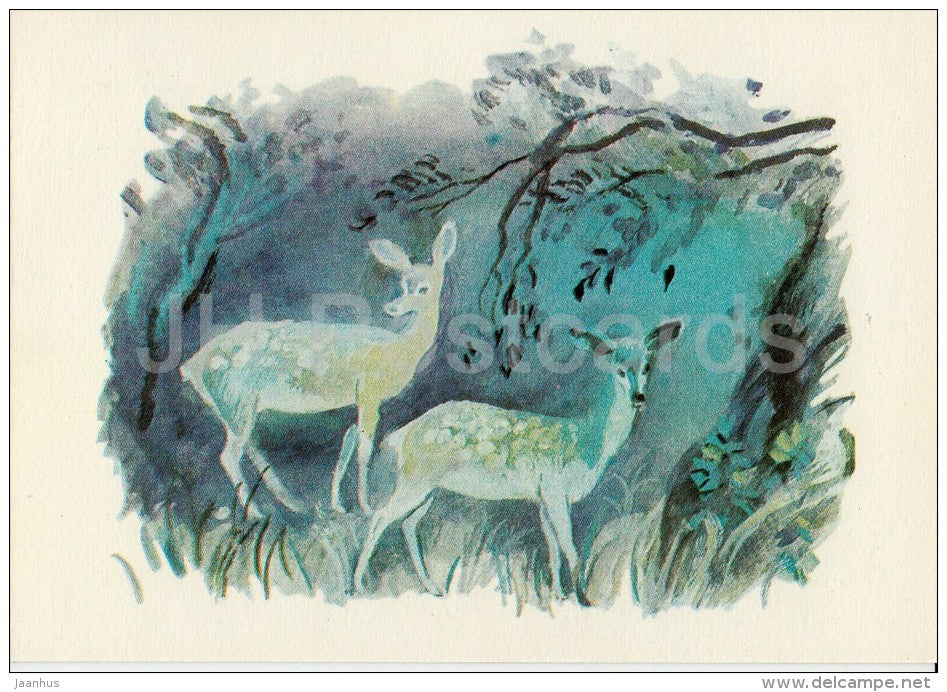 illustration - deer - Don´t Cry Mushroom by D. Mrazkova - fairy tale  - 1979 - Russia USSR - unused - JH Postcards
