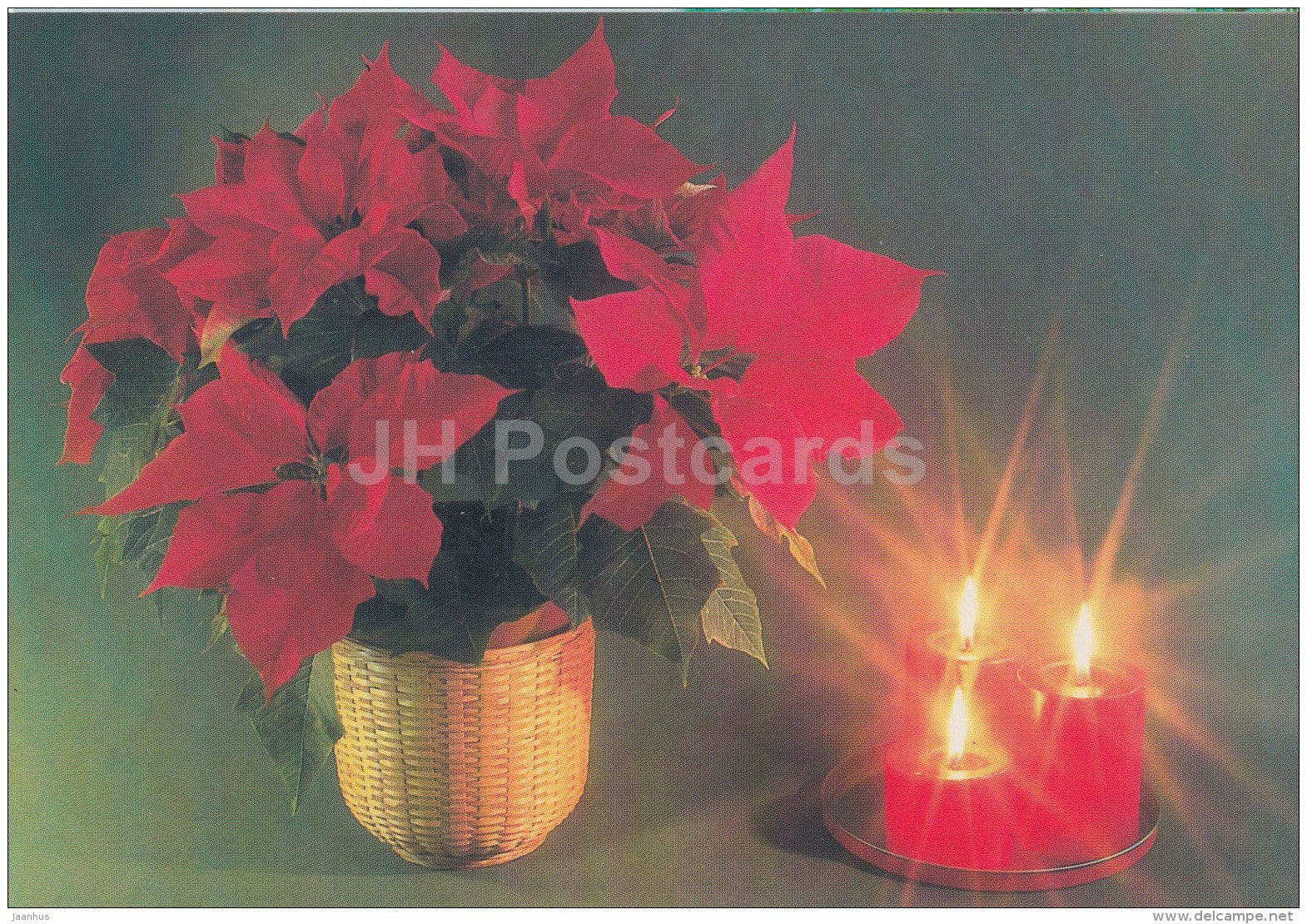 Christmas Greeting Card - candles - flower - Estonia - used in 1996 - JH Postcards