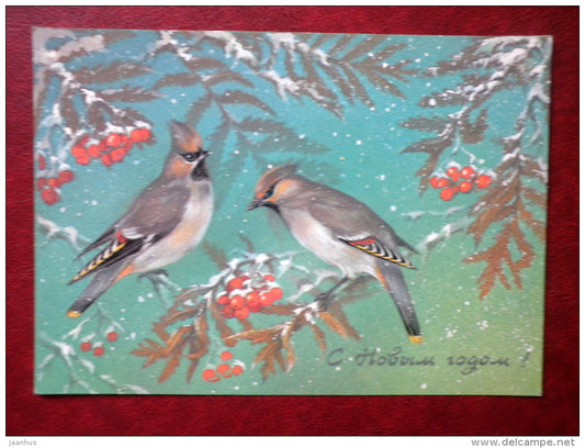 New Year greeting card - by A. Isakov - birds - rowan berries - 1986 - Russia USSR - unused - JH Postcards