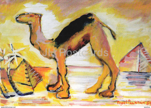 painting by Nigel Packham - Gimel - camel - English art - Germany - unused - JH Postcards