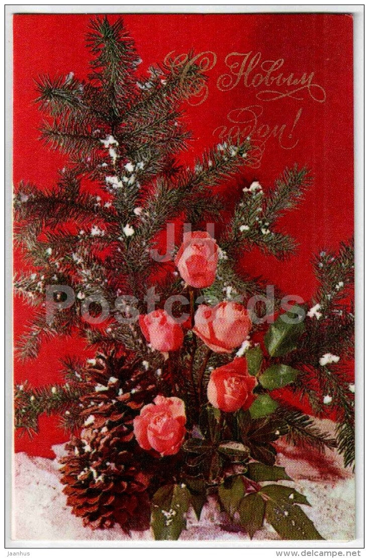 New Year Greeting Card - roses - cones - fir - 1970 - Russia USSR - unused - JH Postcards