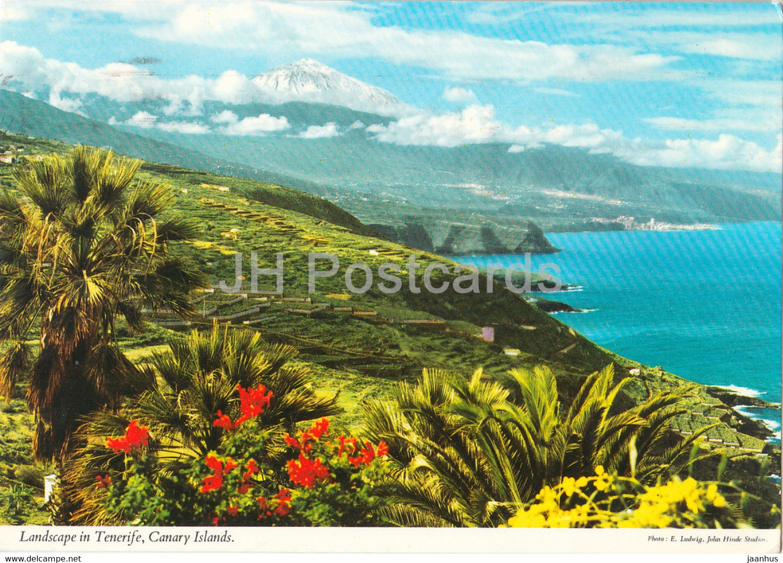 Landscape in Tenerife - Canary Island - Spain - used - JH Postcards