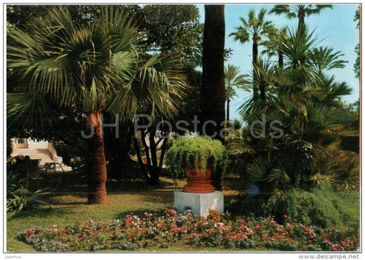 garden - palm trees - Savona - Liguria - B 88 - Italia - Italy - unused - JH Postcards