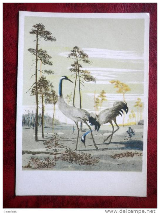 Painting by V. I. Kurdov - cranes - birds - russian art - unused - JH Postcards