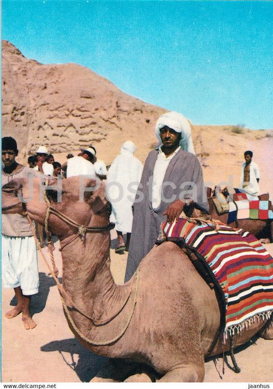 Le sud - Tunisie - camel - animals - Tunisia - used - JH Postcards