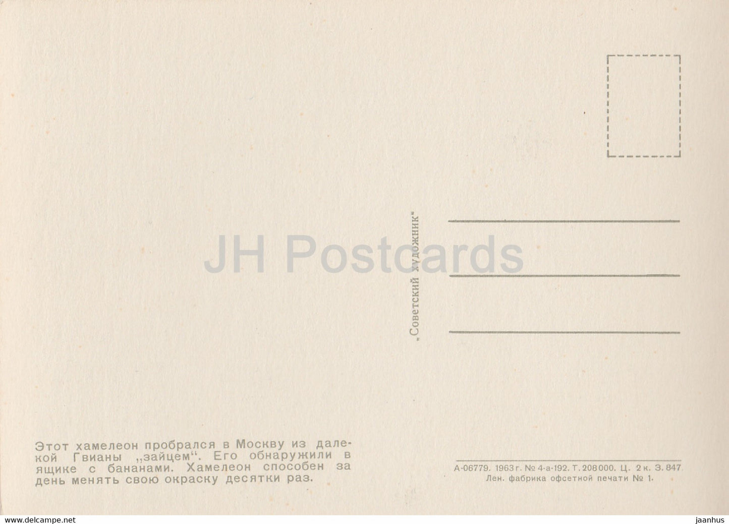 Chameleon - Moscow Zoo - 1963 - Russia USSR - unused