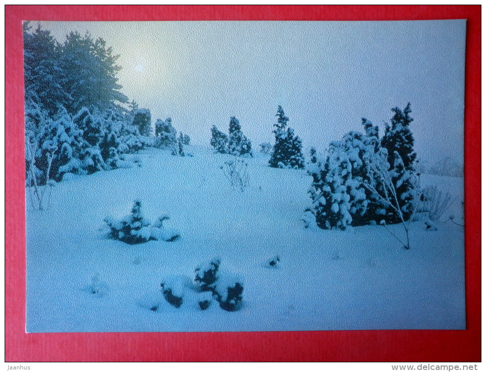Estonia in Winter - juniper - 1988 - Estonia USSR - unused - JH Postcards