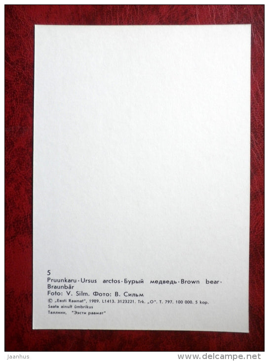Brown bear - ursus arctos - animals - Tallinn Zoo - 1989 - Estonia - USSR - unused - JH Postcards