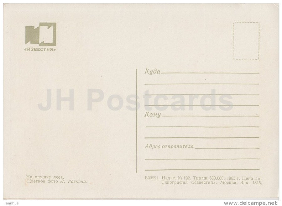 in the woods - 1965 - Russia USSR - unused - JH Postcards