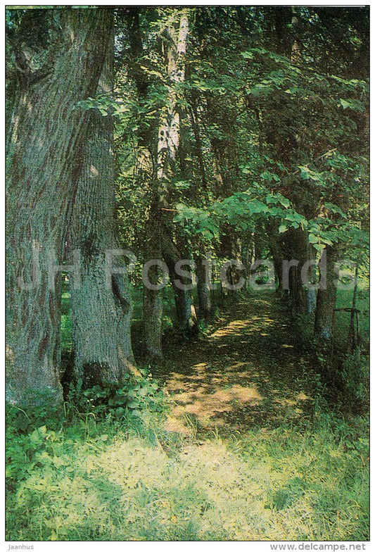 Mikhailovskoye , The Lime-Tree Alley , Kern Alley - Pushkin State Museum - 1982 - Russia USSR - unused - JH Postcards