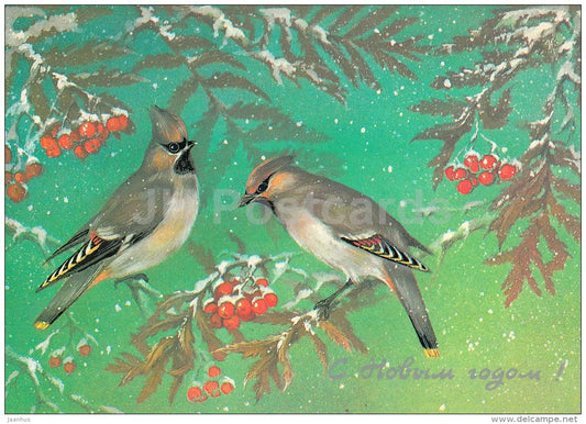 New Year Greeting Card by A. Isakov - birds - rowan - postal stationery - 1986 - Russia USSR - used - JH Postcards
