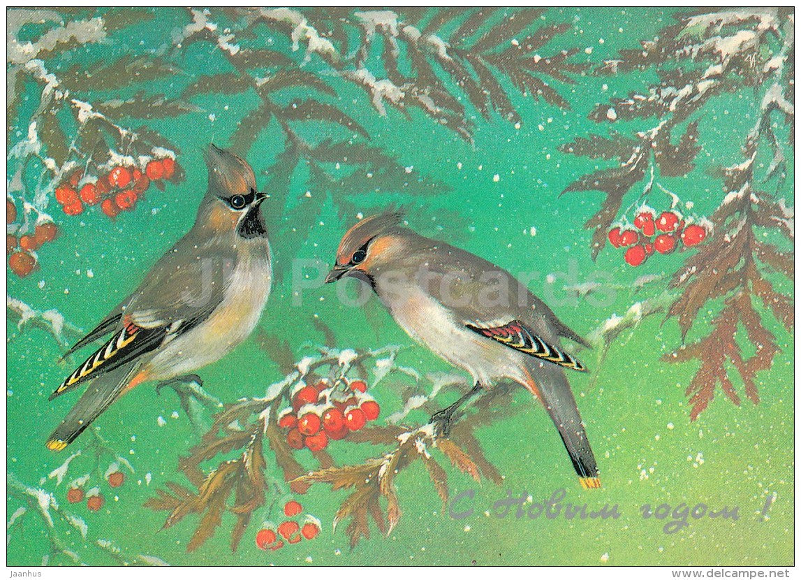 New Year Greeting Card by A. Isakov - birds - rowan - postal stationery - 1986 - Russia USSR - used - JH Postcards