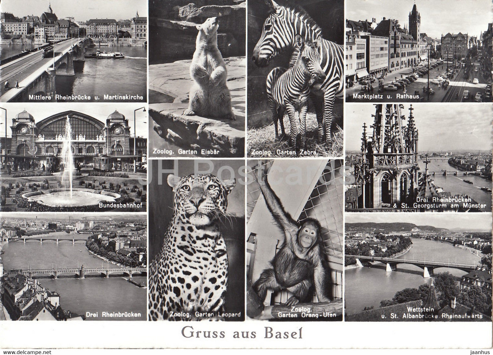 Basle - Gruss aus Basel - Mittlere Rheinbrucke - Zoo - monkey - polar bear - Zebra - leopard - Switzerland - unused - JH Postcards