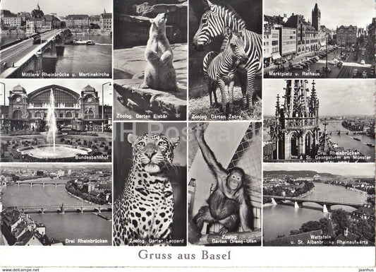 Basle - Gruss aus Basel - Mittlere Rheinbrucke - Zoo - monkey - polar bear - Zebra - leopard - Switzerland - unused - JH Postcards